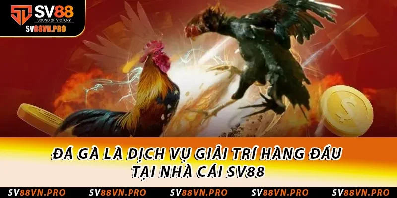 SV88 - Nhà Cái Uy Tín Đăng Ký +88K | sv88vn.pro 19 Đá gà là dịch vụ giải trí hàng đầu tại nhà cái SV88